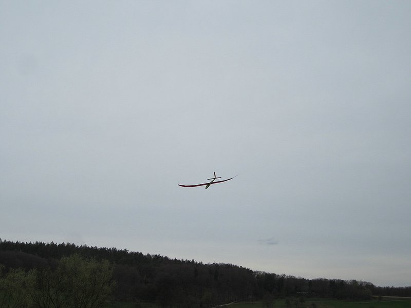 KleinIMG_1795.jpg (170.17 KiB) 5873 mal betrachtet GezoRES Silouette von hinten....