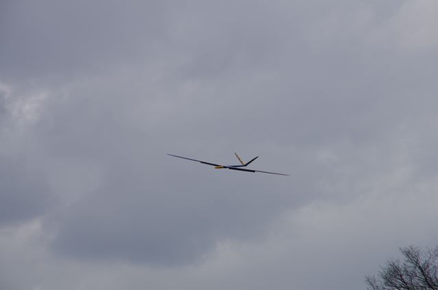Avalon im Landeanflug