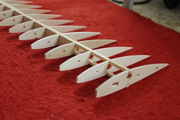 Fläche 007klein.jpg