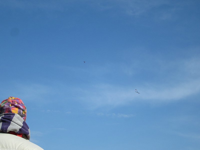 Alby, FS 3000 und Vampire