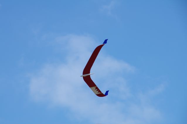 IMGP0202.jpg
