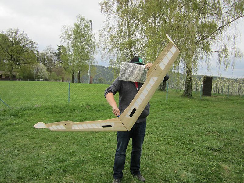 Der Leitwerkspilot schämt sich für das schwanzlose Gerät das er präsentieren muss und möchte nicht erkannt werden