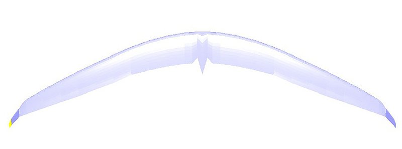 Klein130430 Dispar Draufsicht.jpg