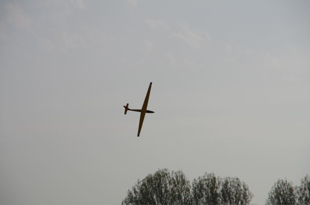IMGP0260.jpg