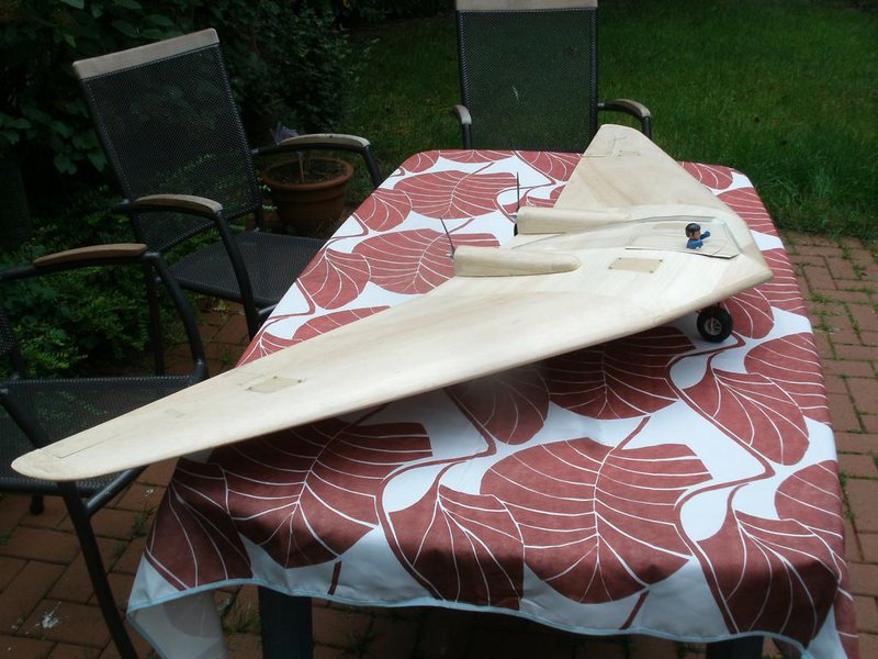 Horten Vc-110.JPG