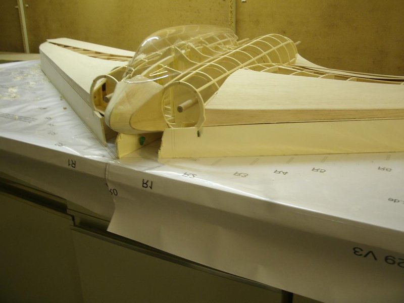 Die Haube ist noch ungekürzt ...