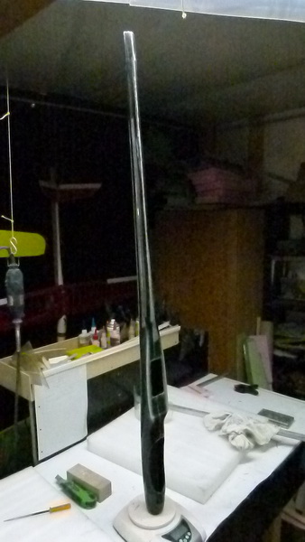P1020378.JPG