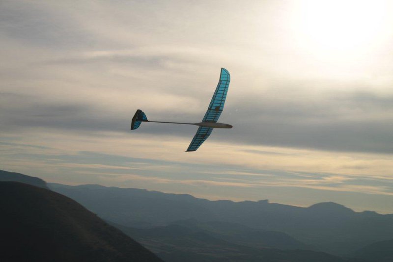 parquetout Aout 201 063.jpg