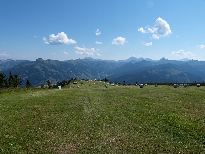 und da auch eine super landewiese steinfrei