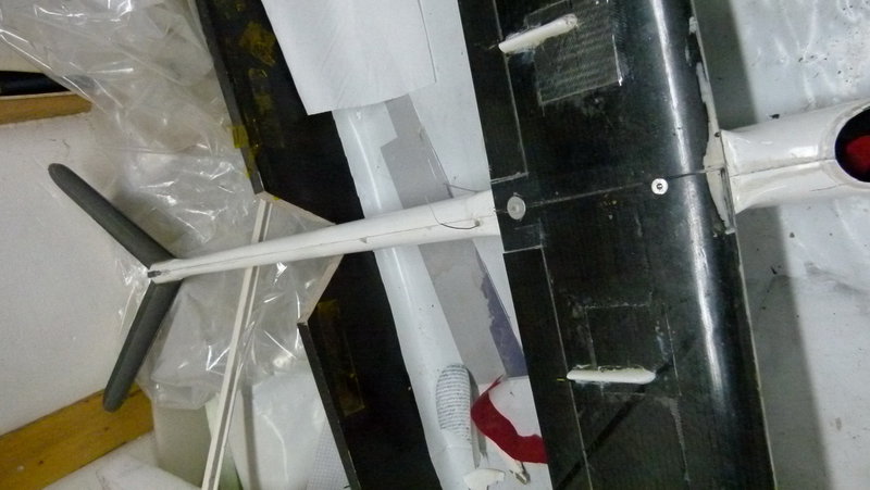 P1020706.JPG