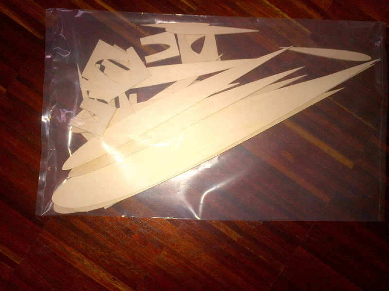 Und noch ein paar Rippen und Nasenschablonen....