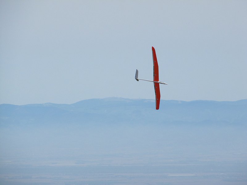 Milan vor dem Schwarzwald "gegenüber"