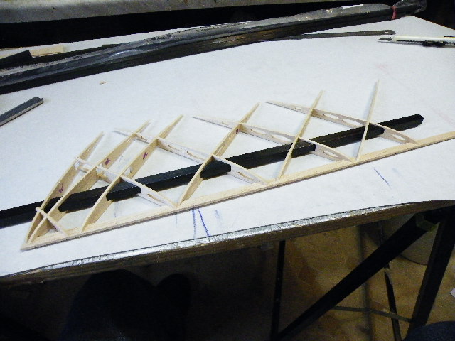 Rippen Mit Hauptholm