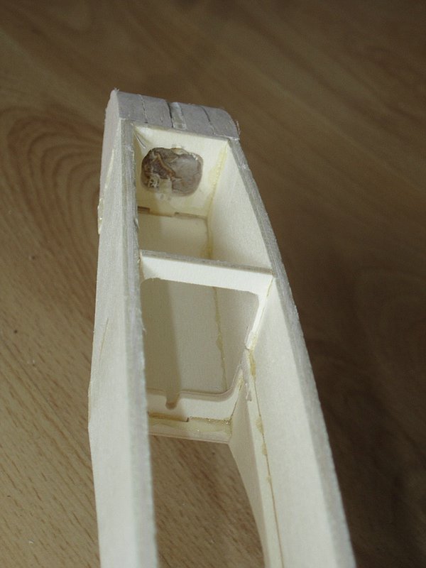 Blickrichtung Rumpfunterseite