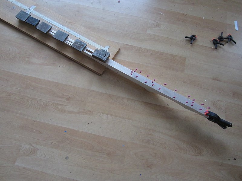 Blickrichtung Rumpfunterseite