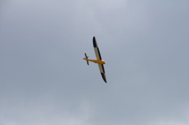 IMGP1183.jpg