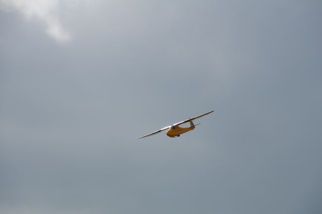 IMGP1187.jpg