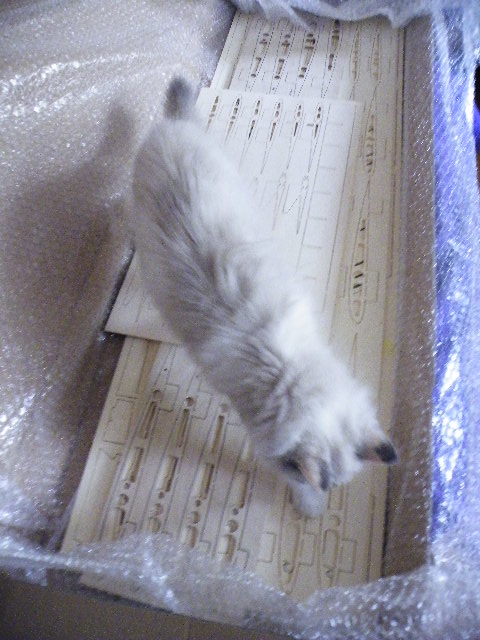 DSCF5166.JPG