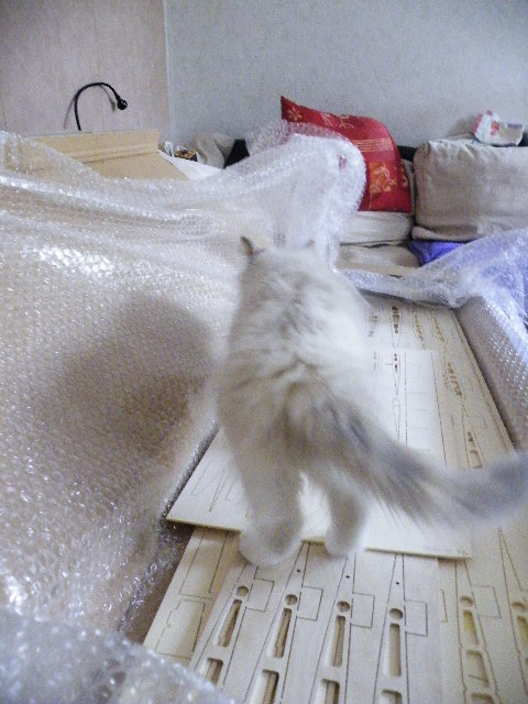 DSCF5170.JPG