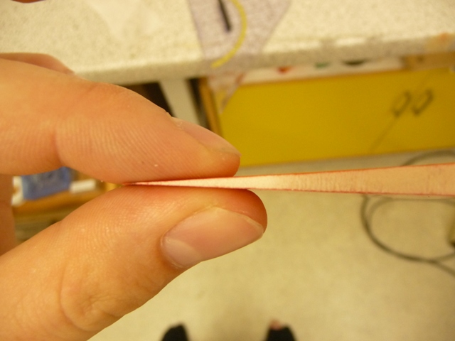 P1020820.JPG