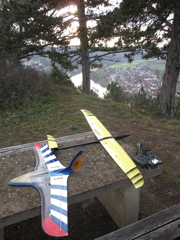 2 x Hartschalengetier mit sehr ähnlicher Flugleistung