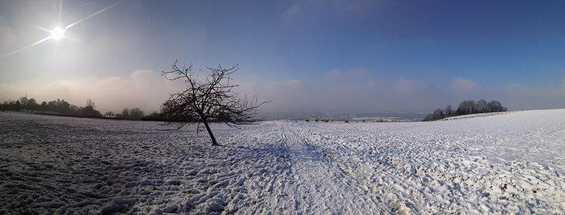 2014-12-31 12.10.44.jpg