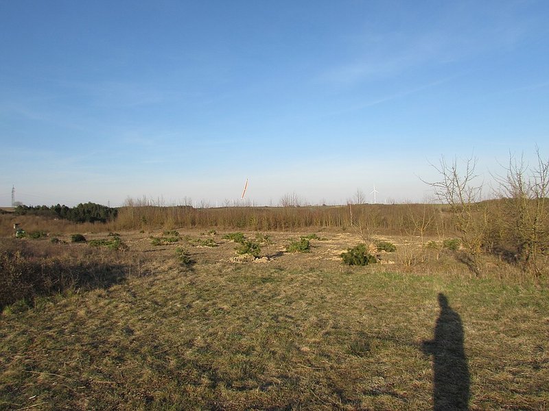 Klein_IMG_5759.jpg