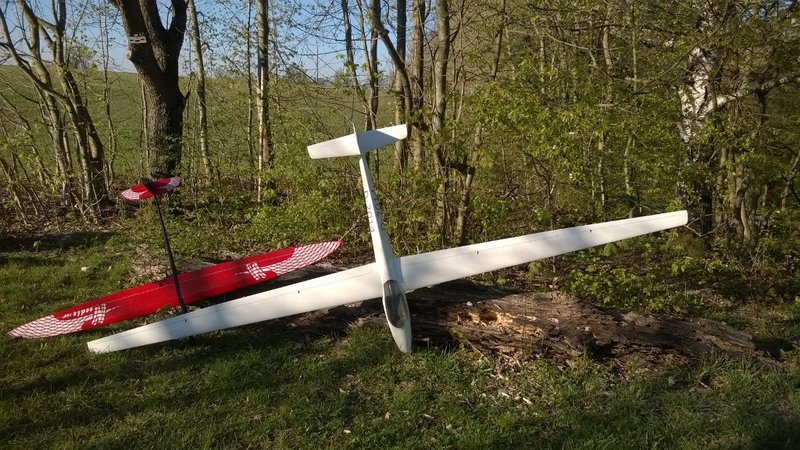 Baumstamm als Bankersatz