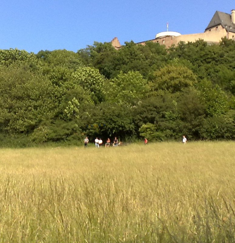 Leider ist meine Kamera sehr bescheiden. Aber die Needle beim Flitschen is schwach zu erkennen.
