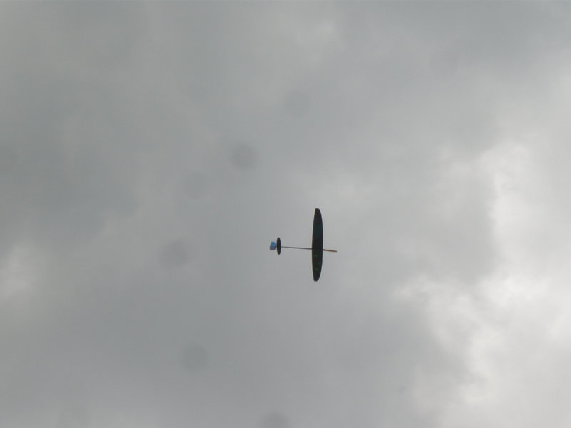 P5250012.JPG