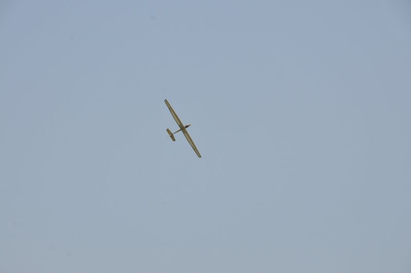_DSC0085k.jpg