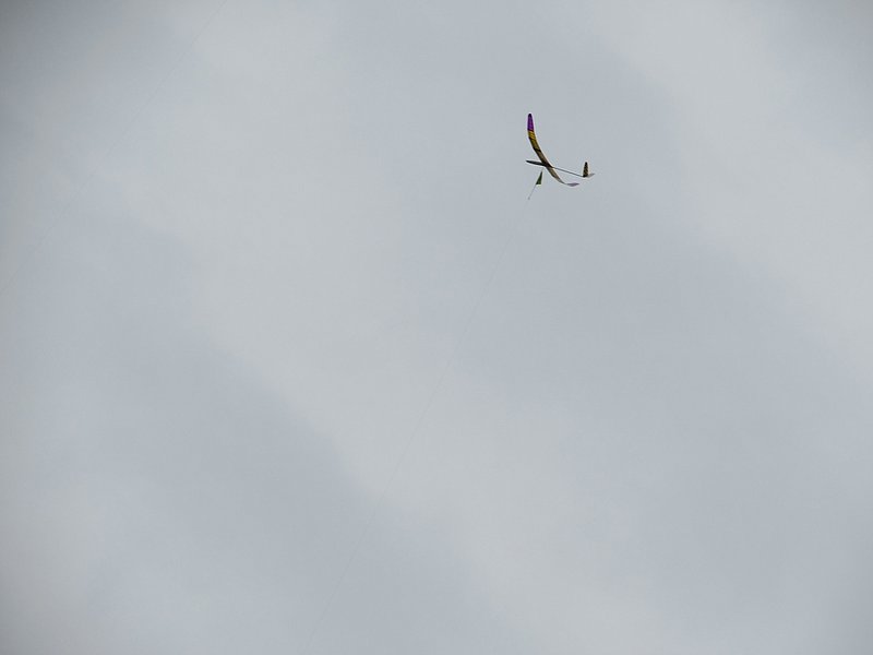 Klein_IMG_0818.jpg