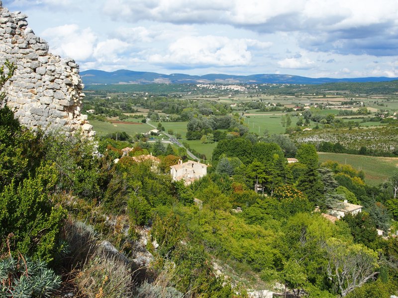 Fliegen im Vorland des Mont Ventoux