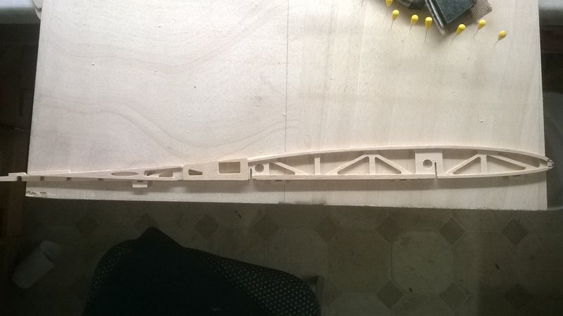 9 Wurzelrippe mit verstärkung und Servoaufdopplung.jpg