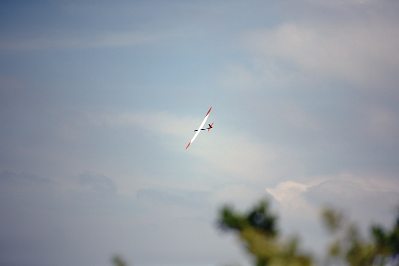 _MG_1031.jpg