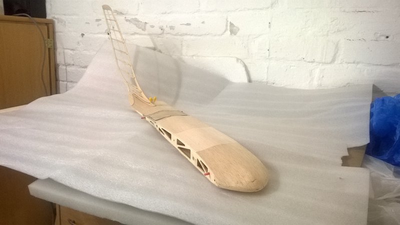 31 Rumpf Finne Vorderansicht.jpg