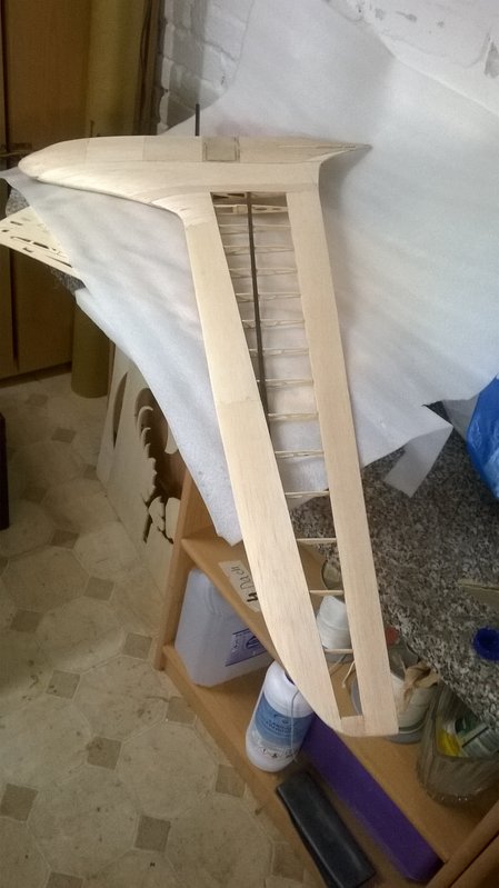 43 Halbe Fläche mittelteil Fertig.jpg