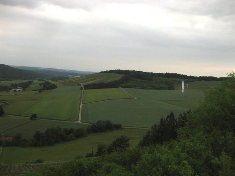 Klein110609 Weinberg 024.jpg