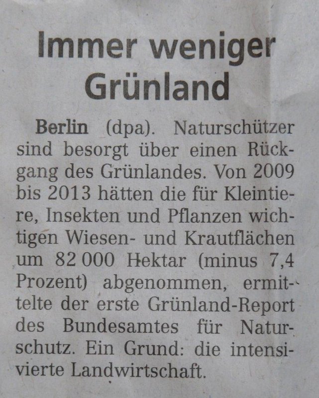 2014 07 06 Zeitungsartikel 064.jpg