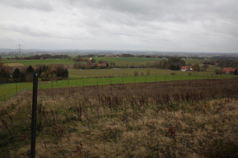 2015 11 14 Wandern Walluecke  (12).JPG