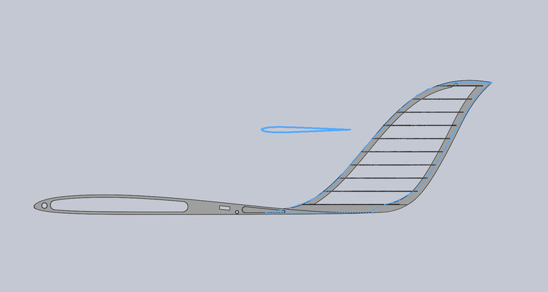 Finne mit Rippen 2.JPG