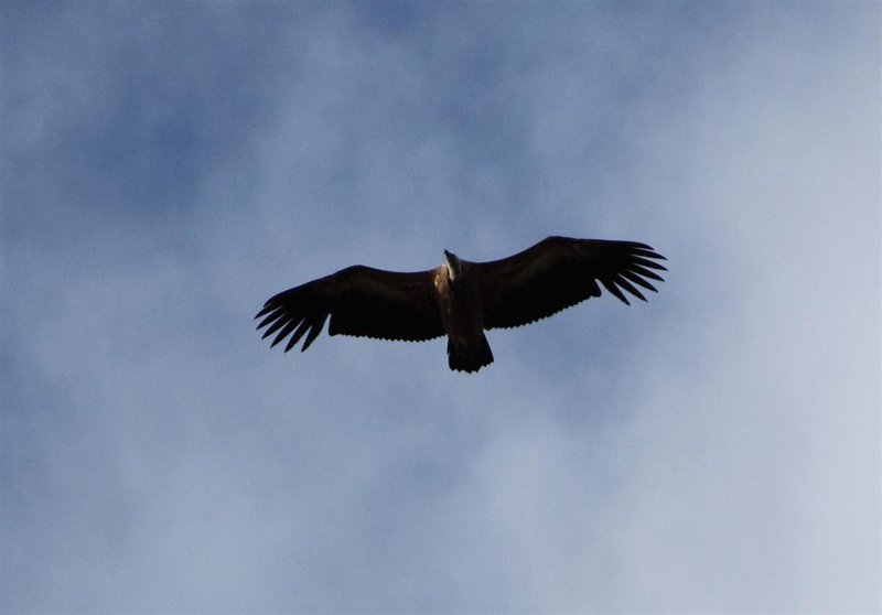 IMG_5259 (Individuell).JPG