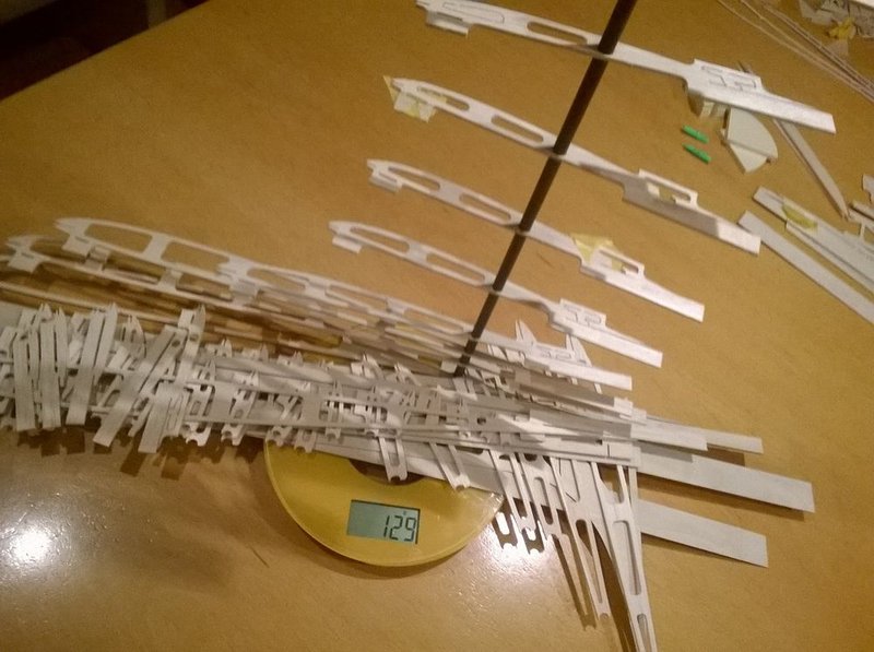 kompletter halber Flügel<br />129 Gramm