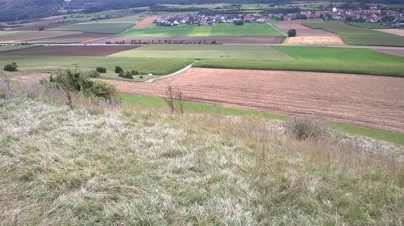 Anfang Maisfeld steht mein Autole