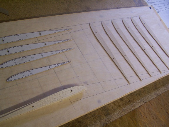 Musterrippen und Balsarippen