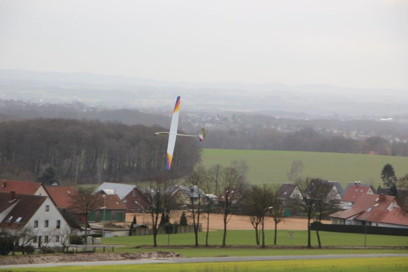 2017 03 03 Bulls Ee MK III 043.jpg