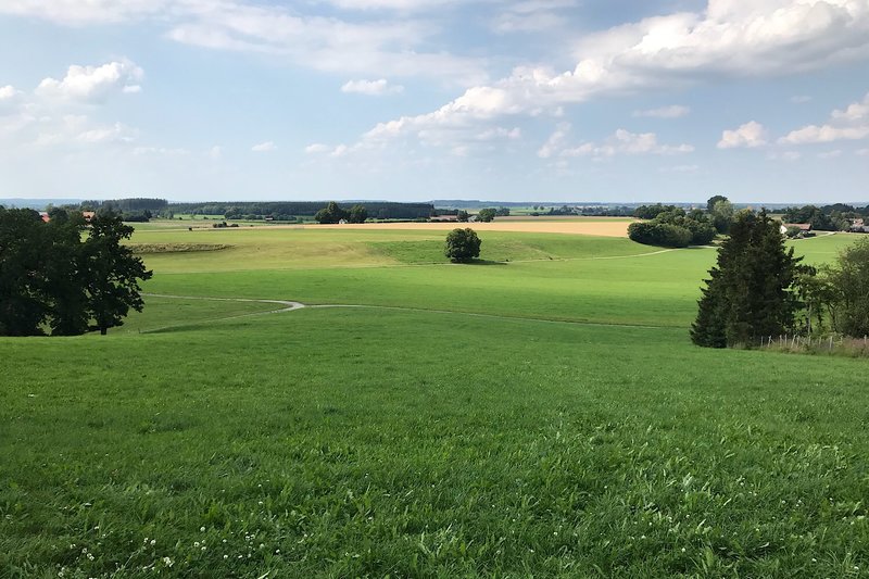 Unser kleines Nordhängchen