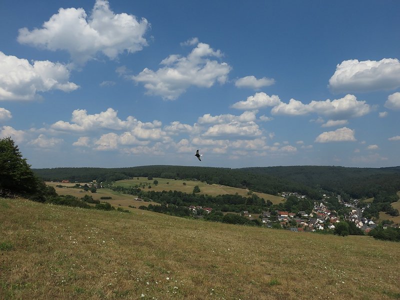 klein_IMG_4850.jpg
