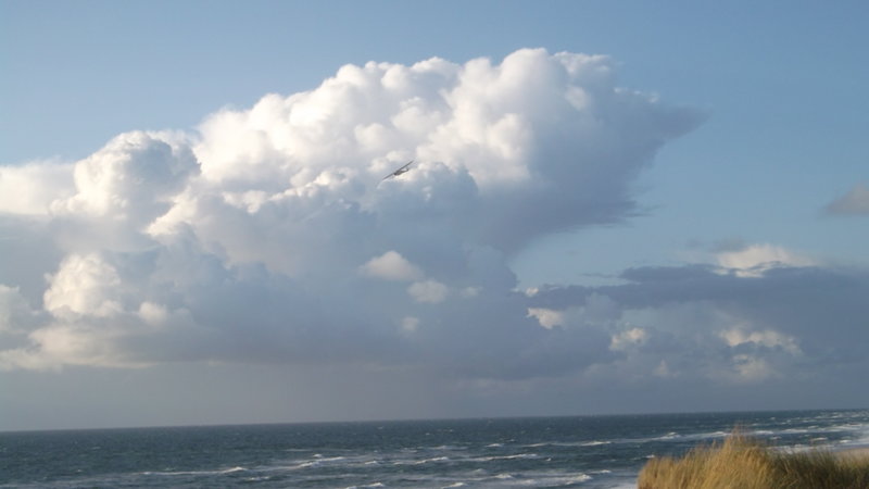 DSCF2608.JPG