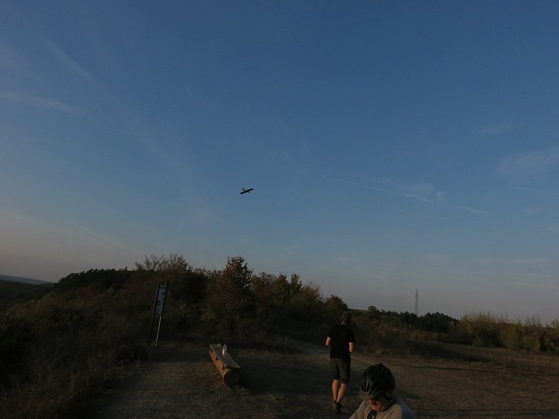 klein_IMG_6229.jpg